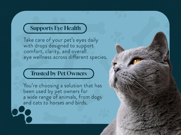 OcluVet Pet Eye Drops for Dogs & Cats, 2% NAC, 16 mL