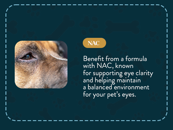 OcluVet Pet Eye Drops for Dogs & Cats, 2% NAC, 16 mL