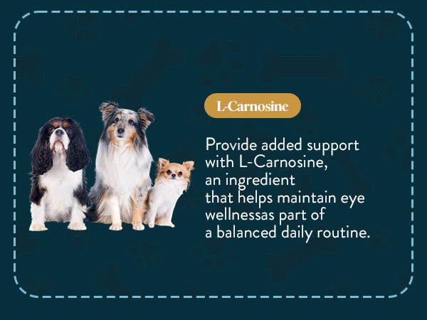 OcluVet Pet Eye Drops for Dogs & Cats, 2% NAC, 16 mL