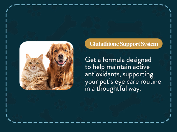 OcluVet Pet Eye Drops for Dogs & Cats, 2% NAC, 16 mL