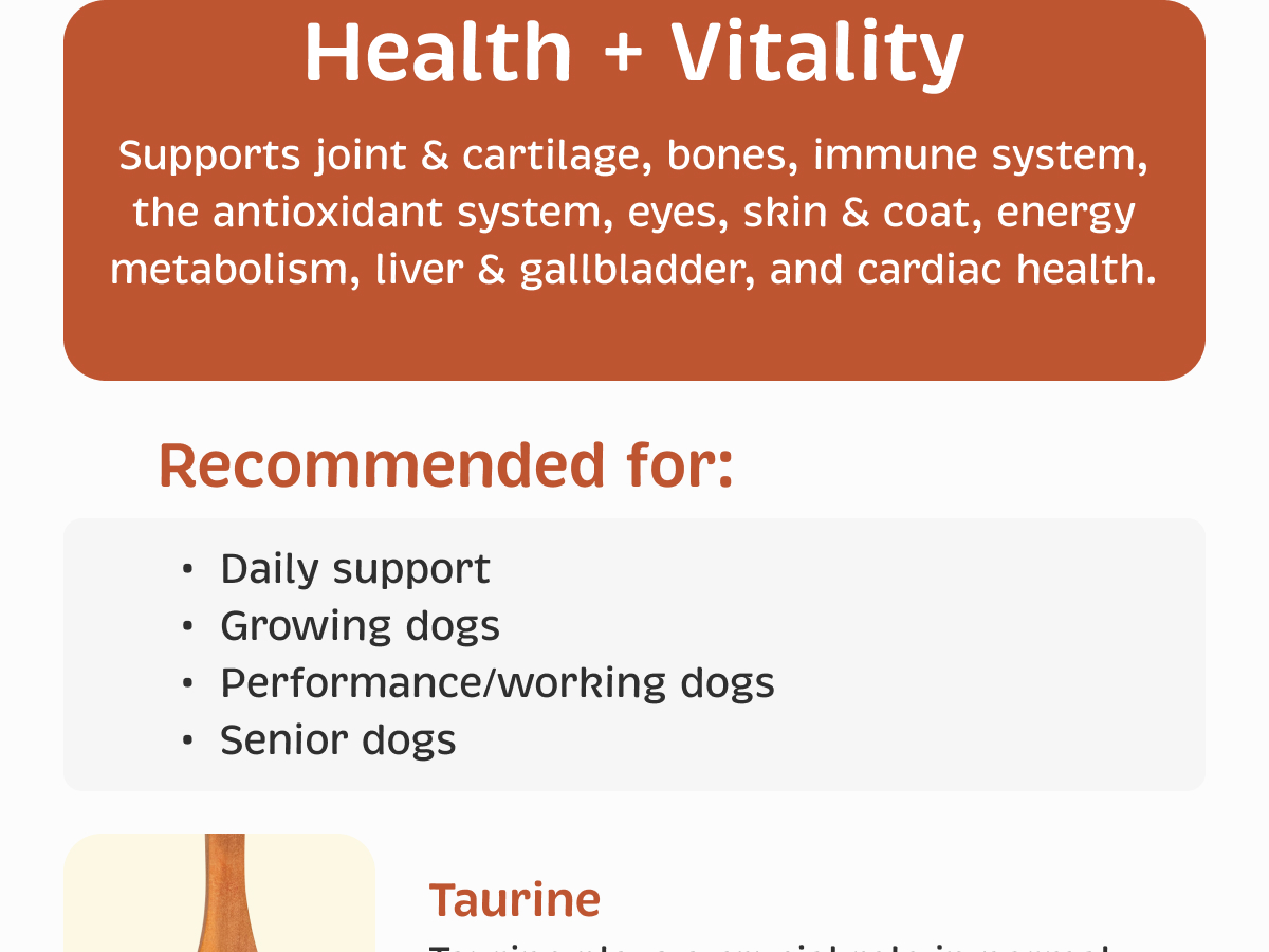 Spirited Paw Health + Vitality, Liver-Flavored, 90 Chewable Wafers
