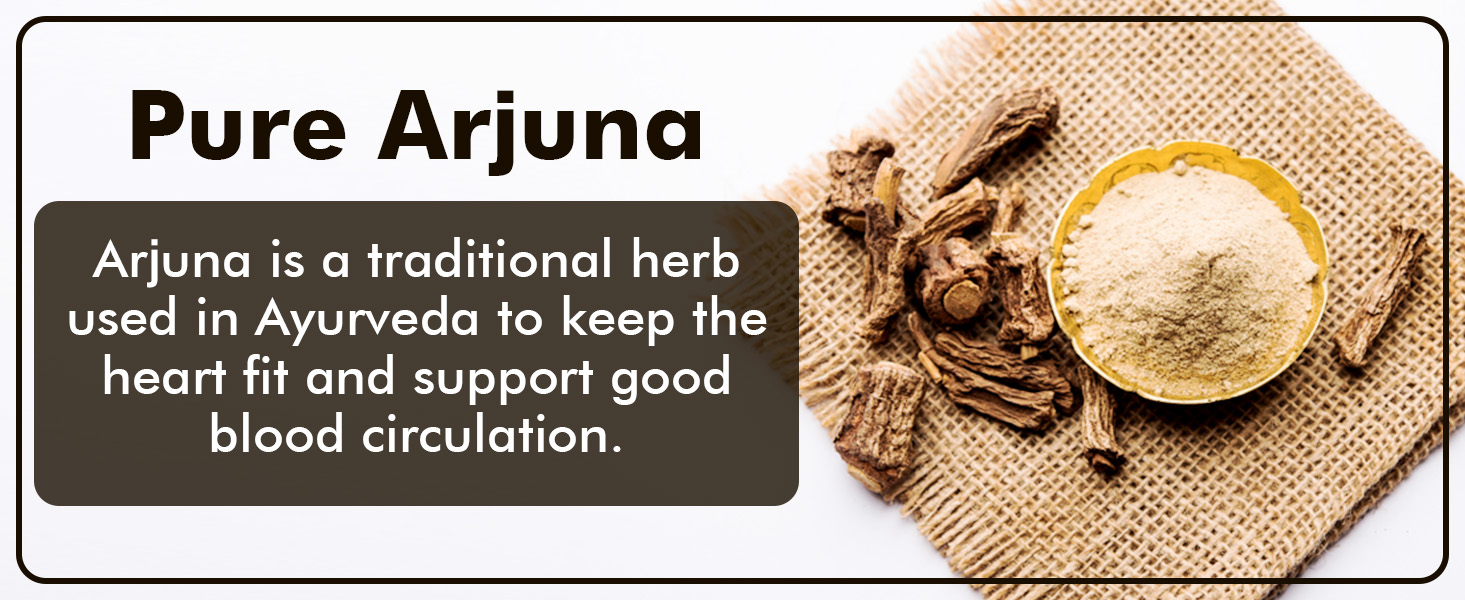 Baidyanath Ayurved Arjuna Tablets 60 Tabs (Pack of 2) | Pure Arjuna Bark Extract | Ayurvedic Supplement for Heart Wellness & Healthy Circulation | Supports Cardiovascular Vitality