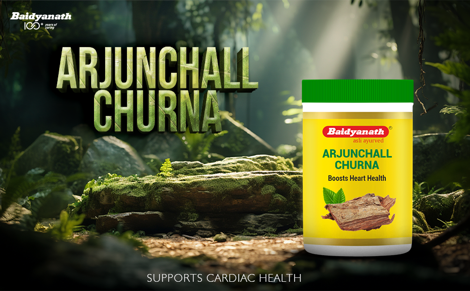 Baidyanath Arjunchall Churna - 100 g (Pack of 3)