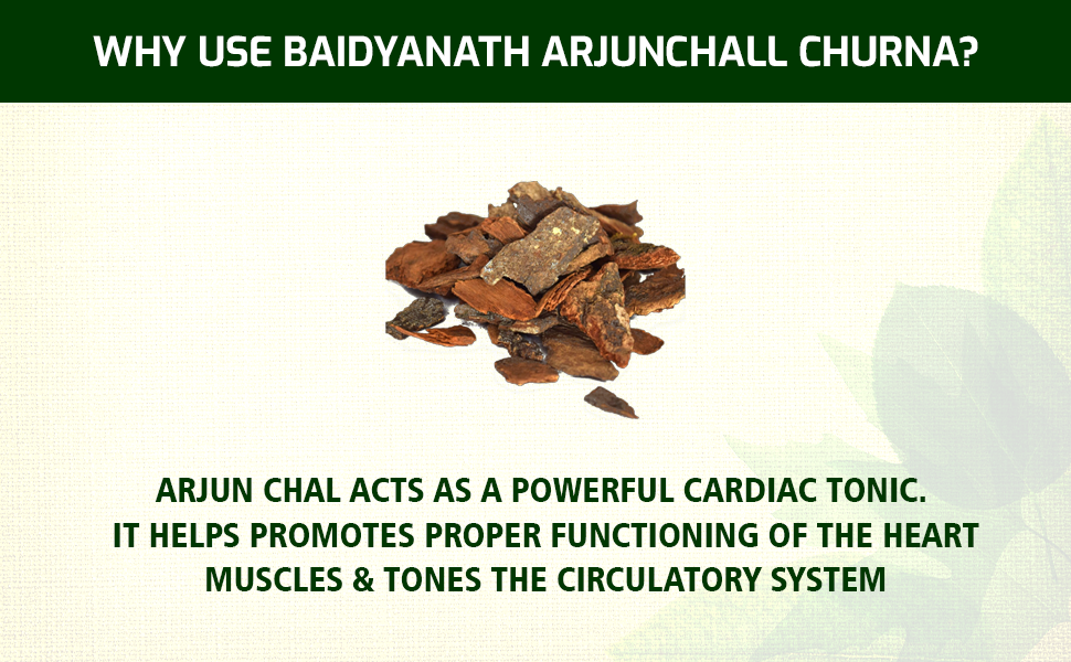 Baidyanath Arjunchall Churna - 100 g (Pack of 3)