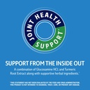21st-century-arthri-flex-advantage-plus--4.jpg