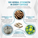cortisol-wellness-ashwagandha-14-in-1-na-5.jpg