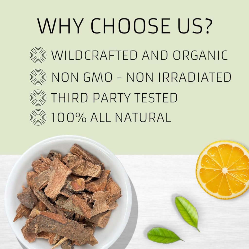 evergreen-herbs-cuachalalate-herb-amphip-4.jpg