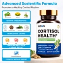 fidus-cortisol-health-cortisol-balance-f-4.jpg
