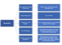 gav-advance-mint-chewable-tablets-60-pac-4.jpg
