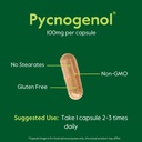bestvite-pycnogenol-100mg-120-capsules-6-5.jpg