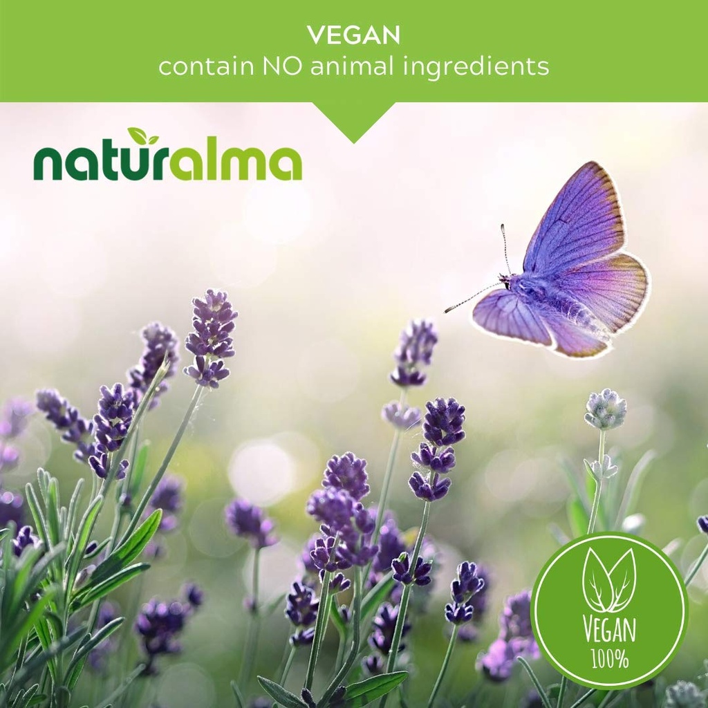 naturalma-bilberry-or-european-blueberry-3.jpg