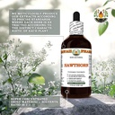 hawthorn-crataegus-laevigata-dry-leaf-an-5.jpg