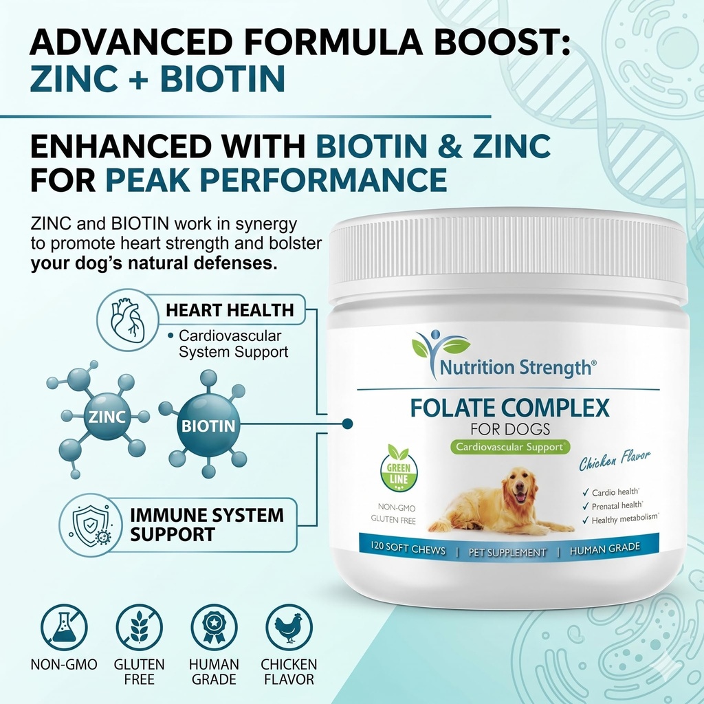 folate-for-dogs-to-promote-cardiovascula-4.jpg