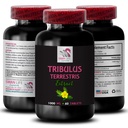 pure-muscle-power-tribulus-terrestris-ex-2.jpg