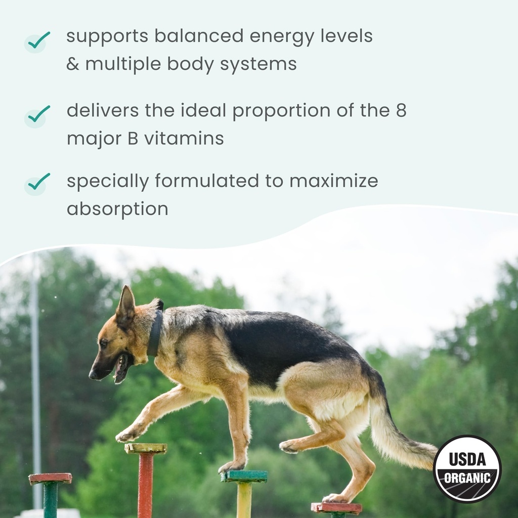 bark-whiskers-organic-vitamin-b-complex--5.jpg