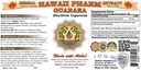 guarana-liquid-extract-guarana-paullinia-2.jpg