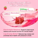 2-pack-potassium-citrate-gummies-potassi-2.jpg