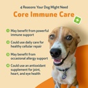 pet-wellbeing-core-immune-care-for-dogs--3.jpg