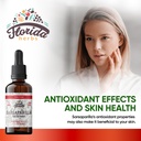 sarsaparilla-tincture-organic-sarsaparil-2.jpg
