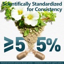 hypervive-bacopa-monnieri-luteolin-bundl-2.jpg