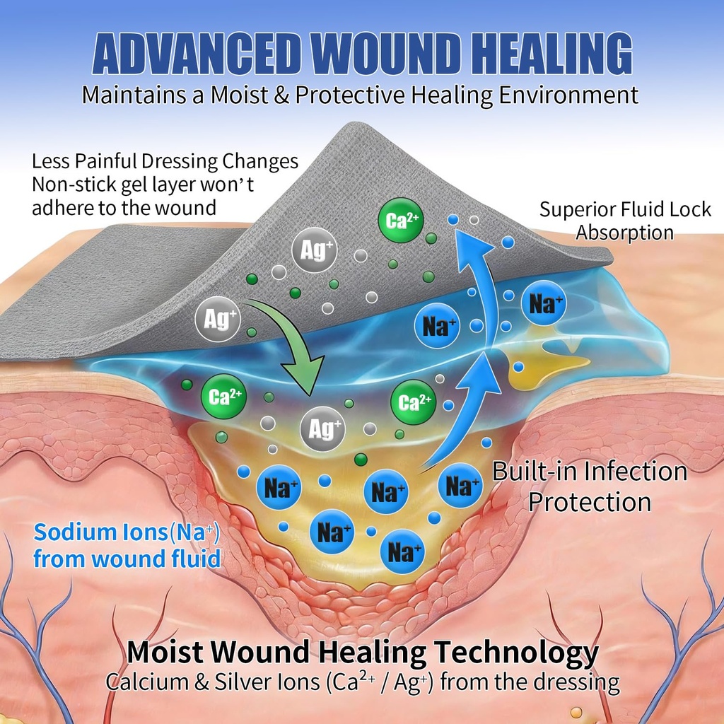 10x-silver-calcium-alginate-wound-dressi-81BBkXmtluL.jpg