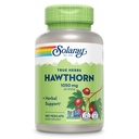 solaray-hawthorn-berry-capsules-1050-mg--61m7ueg57iL.jpg