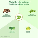 a-tata-product-organic-india-lipid-care--51GDWFS+oHL.jpg