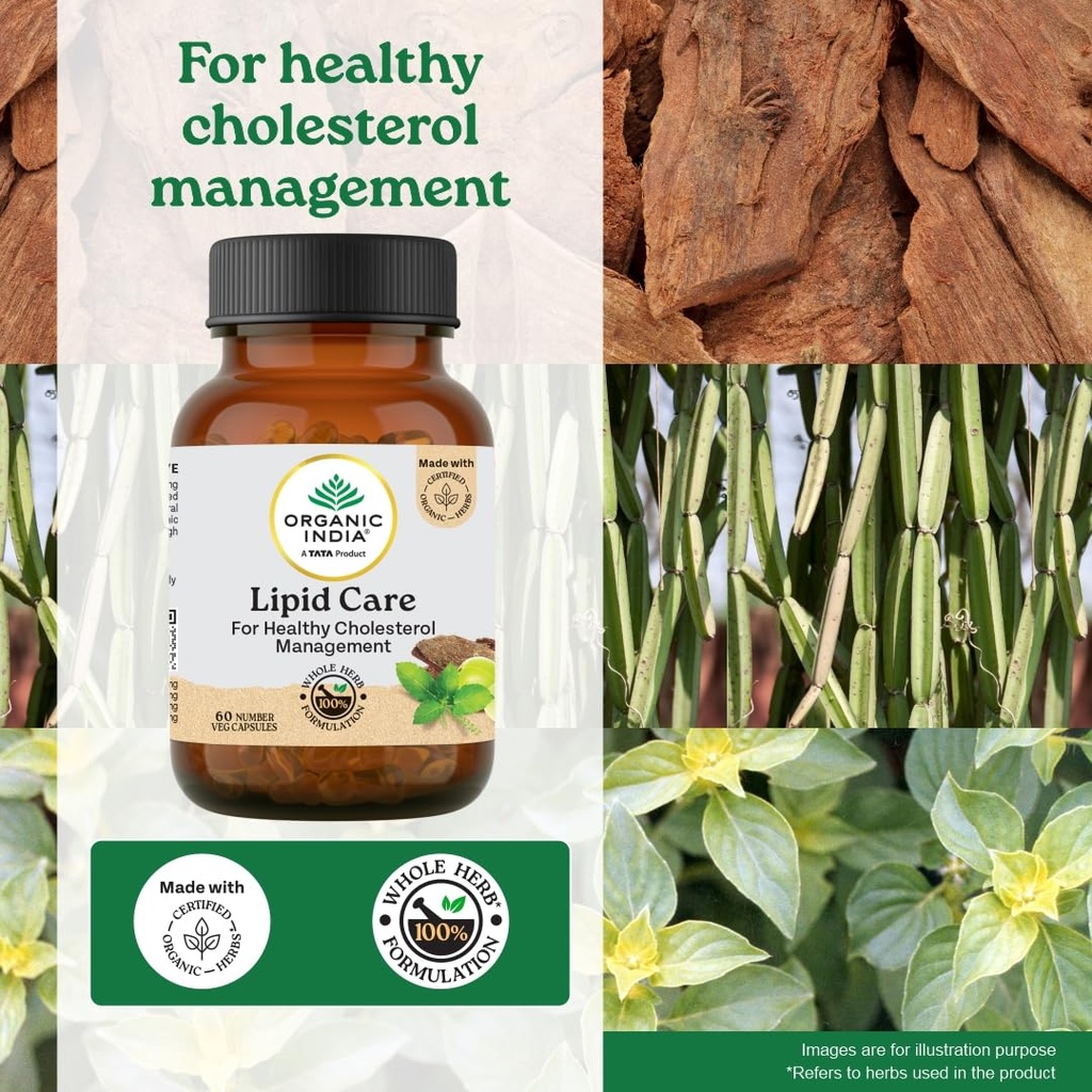 a-tata-product-organic-india-lipid-care--715EHGFDmuL.jpg