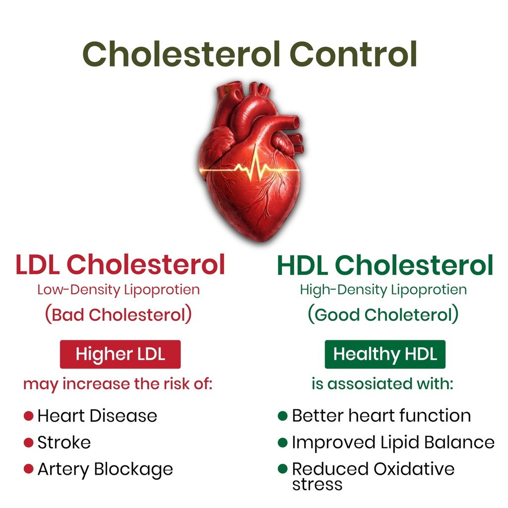 vlado-s-himalayan-organics-cholesterol-c-71O+AAVstwL.jpg