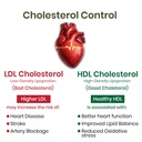 vlado-s-himalayan-organics-cholesterol-c-71O+AAVstwL.jpg