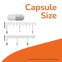 now-foods-pycnogenol-30mg-150-capsules-61gvGWZ0t7L.jpg