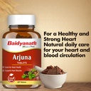 baidyanath-ayurved-arjuna-tablets-60-tab-71jAYtsVXTL.jpg