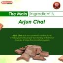 baidyanath-arjunchall-churna-100-g-pack--61RYNhoCt8L.jpg