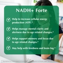 provita-nadh-forte-cognitive-support-sup-61WMA8X7VvL.jpg