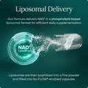 nad-supplement-500mg-with-resveratrol-co-81lCg67yHAL.jpg