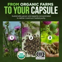 omnibiotics-organic-milk-thistle-supplem-813PnmU8yXL.jpg