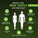 omnibiotics-organic-milk-thistle-supplem-71jCJQMCsML.jpg