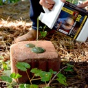 ani-logics-outdoors-mineral-dirt-180-liq-3.jpg