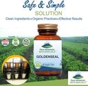 pure-mountain-botanicals-goldenseal-caps-3.jpg