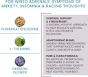 womens-health-network-serinisolTM---cort-2.jpg