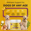 turkey-tail-mushroom-for-dogs---dog-vita-3.jpg