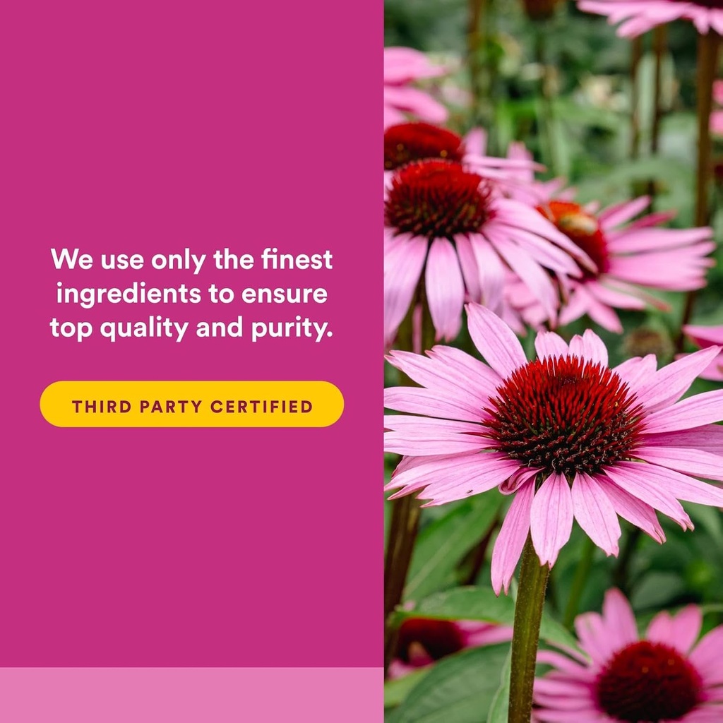 natural-factors---echinamide-echinacea-f-5.jpg