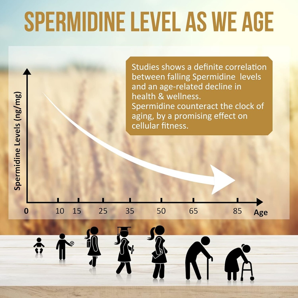 spermidine-supplements-13mg---1300mg-whe-4.jpg