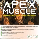 apex-muscle-body-strength-builder-for-ho-2.jpg