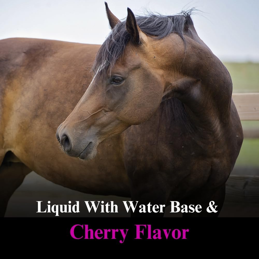 su-per-dmg-3000-horse-supplement---train-3.jpg