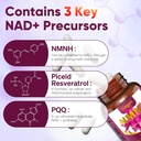nmnh-supplement-dihydronicotinamide-mono-4.jpg