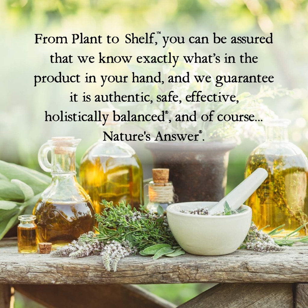 natures-answer-nettle-leaf-with-organic--6.jpg