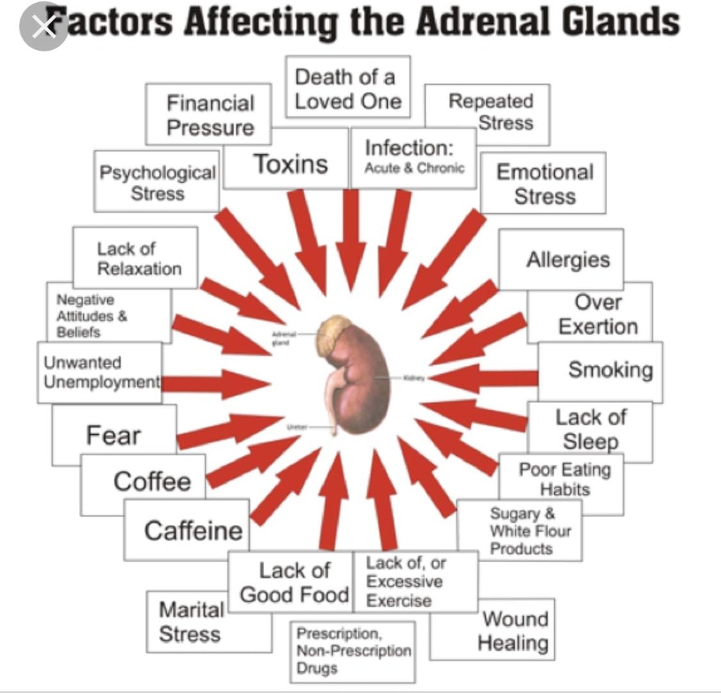 miracle-adrenal-essence-doctors-choice---6.jpg