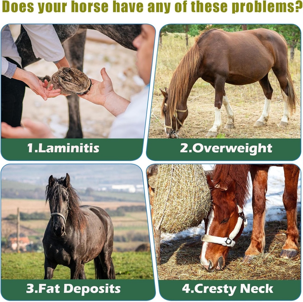insulin-resistance-supplement-for-horses-4.jpg
