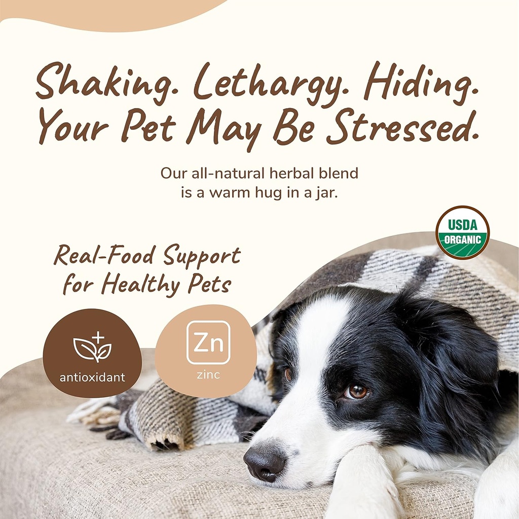 kinkind-healthy-calm-supplement-for-dogs-3.jpg